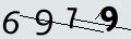 verifycode